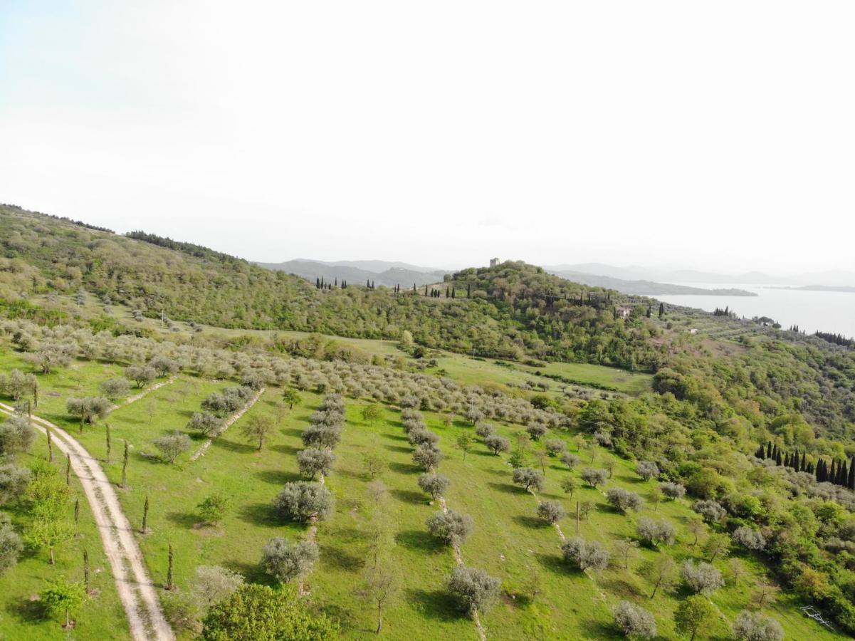 Agriturismo Panorama Sul Lago Passignano sul Trasimeno Exterior foto
